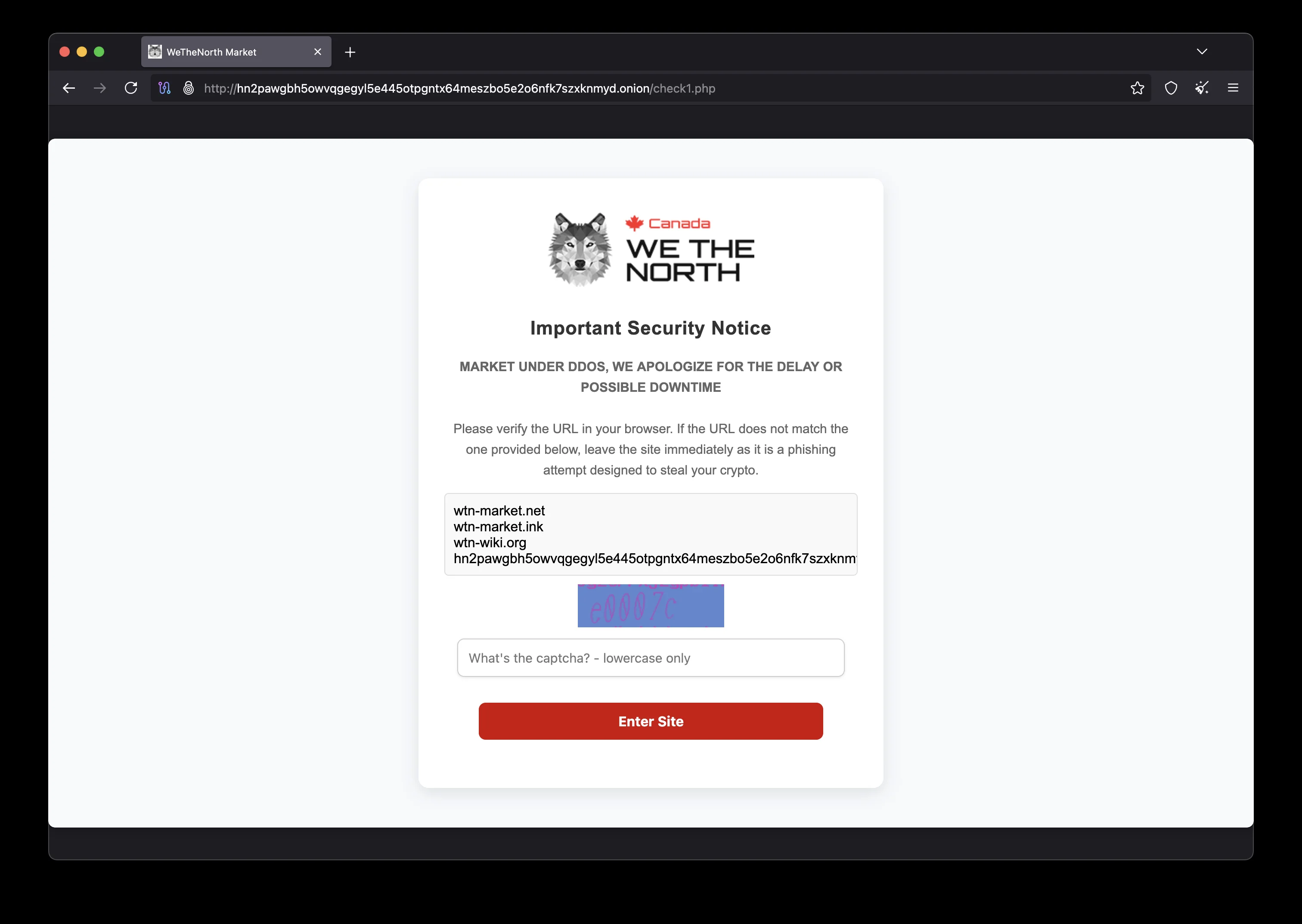 WeTheNorth Market anti-phishing security verification screen — protecting against fake WTN sites